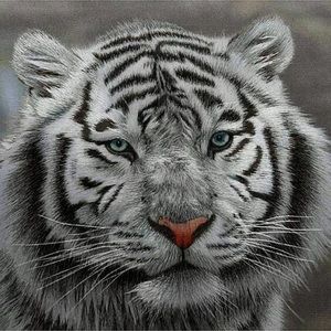 Meet your Posher, Flora